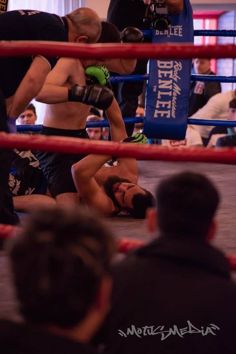 Fight Night Euskirchen